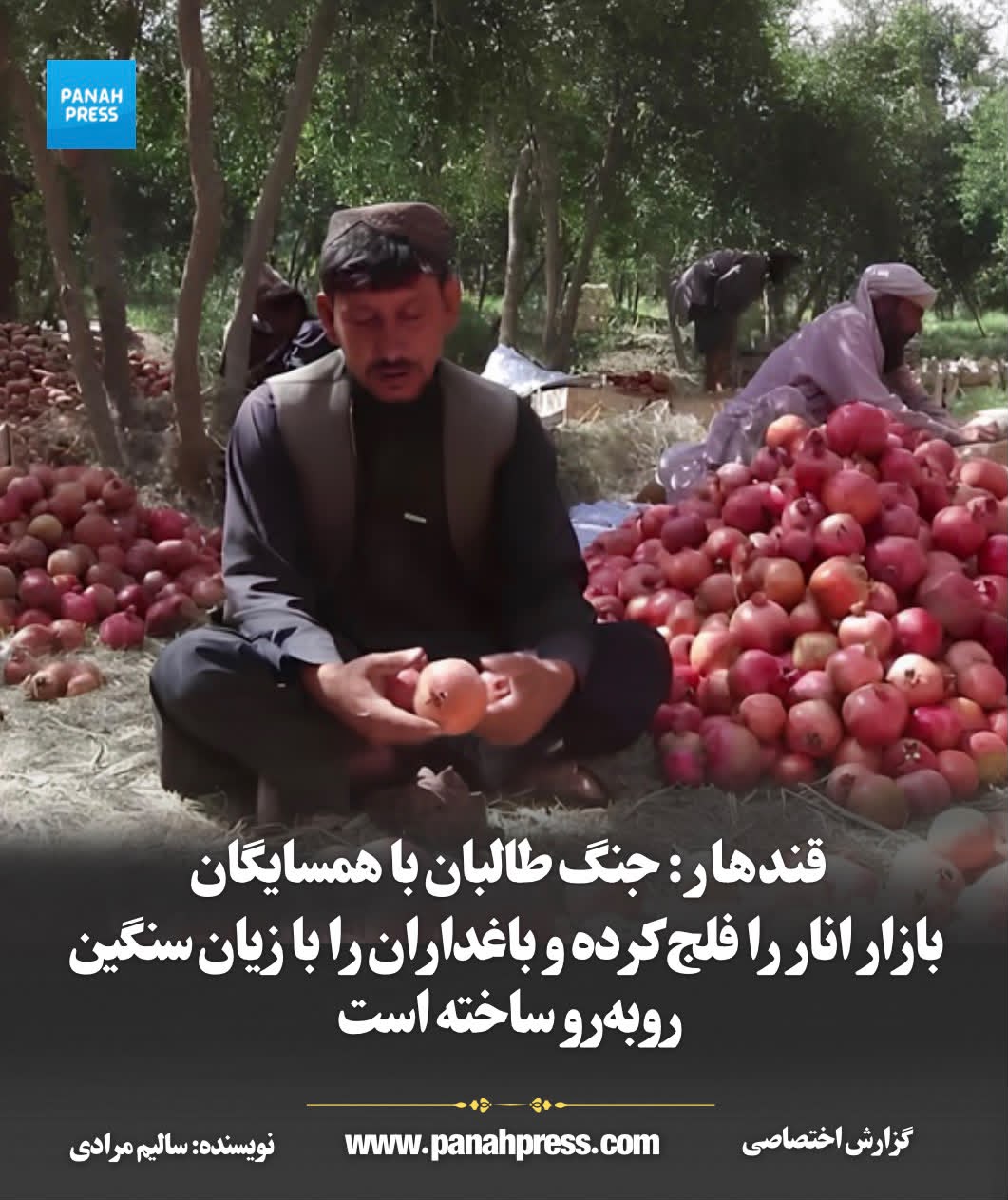 قندهار؛ جنگ طالبان با همسایگان، بازار انار را فلج کرده و باغداران را با زیان سنگین روبه‌رو ساخته است
