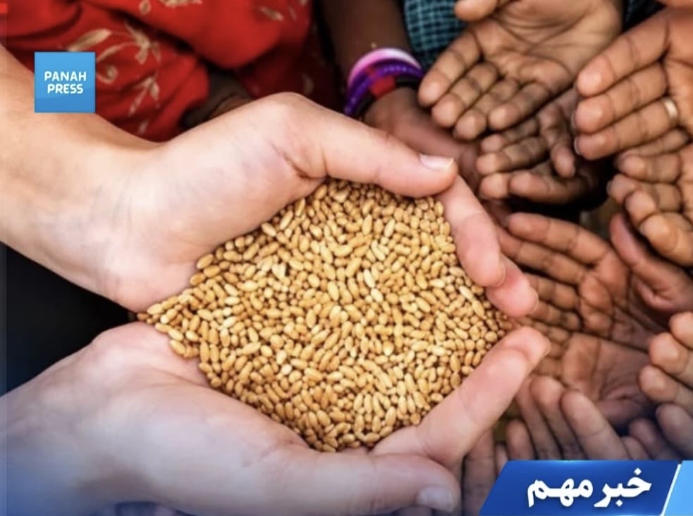 World Food Day: Economic Crisis and Taliban Policies Leave Millions of Afghans Struggling to Put Food on the Table