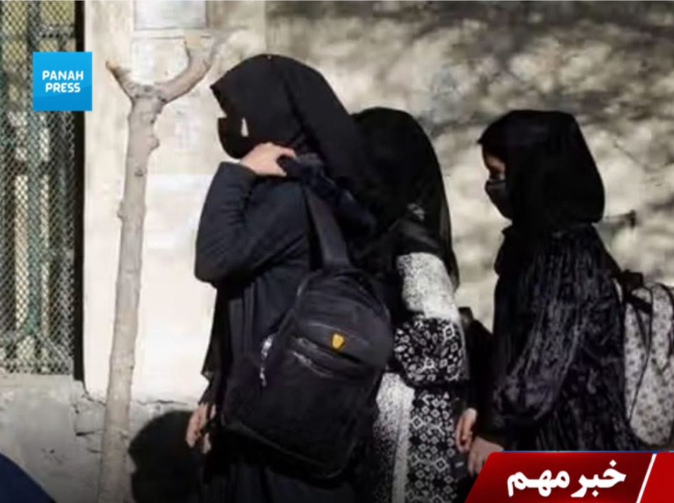 Aimal Wali Khan: Denying Afghan Girls Access to Education Is an Inhumane Act