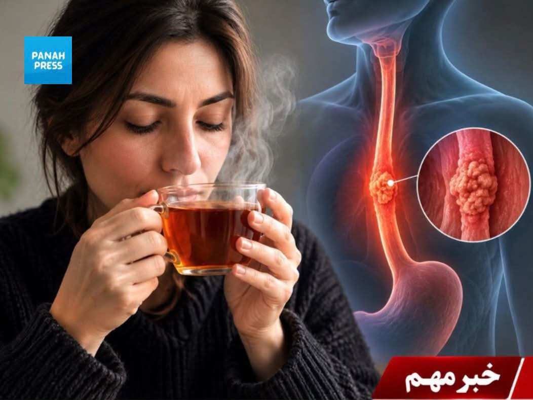 پژوهش تازه: نوشیدن چای بسیار داغ می‌تواند خطر ابتلا به سرطان مری را افزایش دهد.
