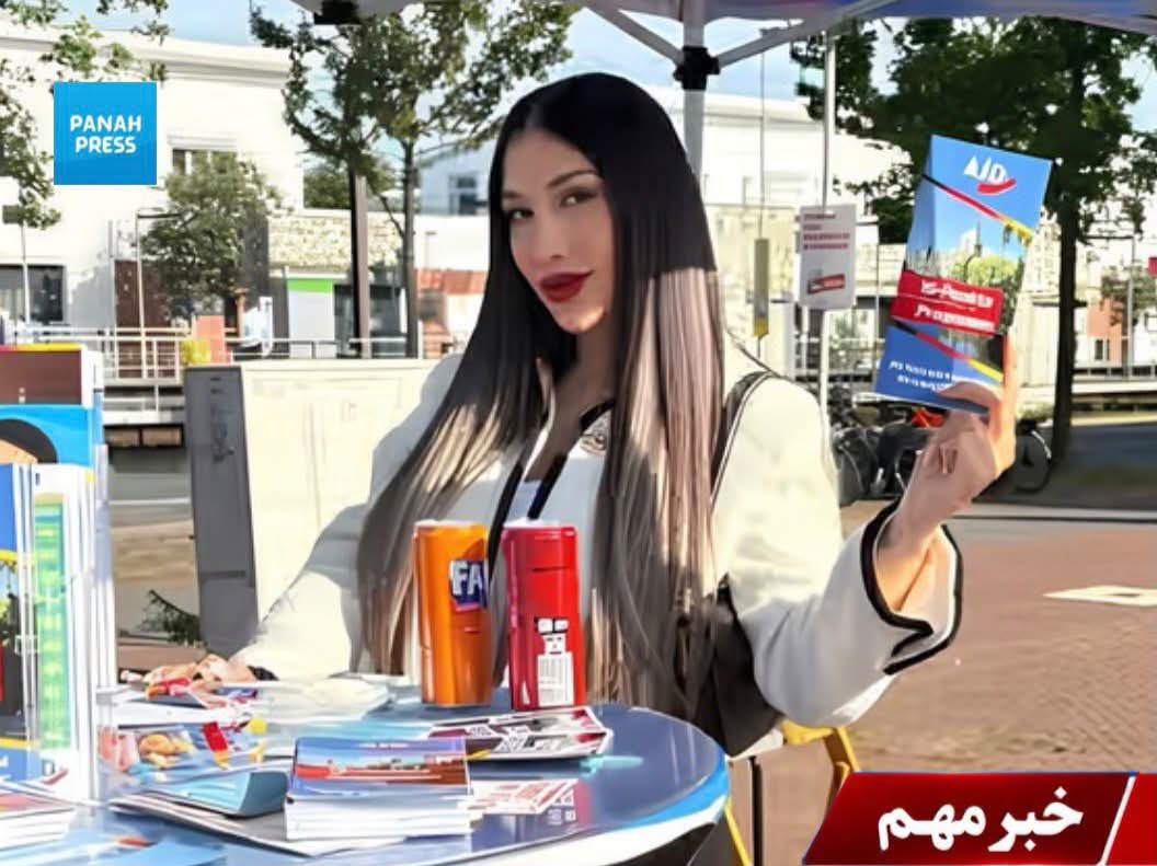 Nagina Mehrayar, Afghan-Origin Woman, Wins Local Election in Hanover, Germany