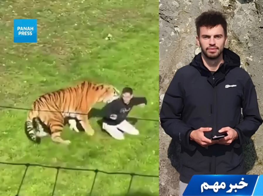 Tiger’s Fatal Attack on William Chapman at a Wildlife Park in England